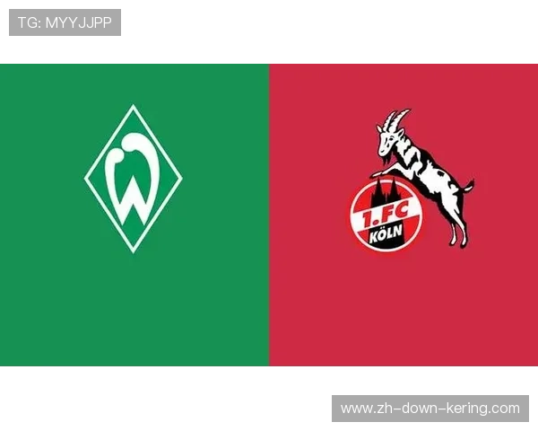 沃伯加盟不莱梅，老将经验补强后防短板